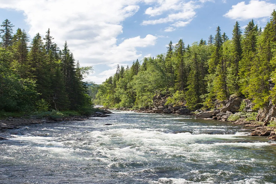 river with rough rapids