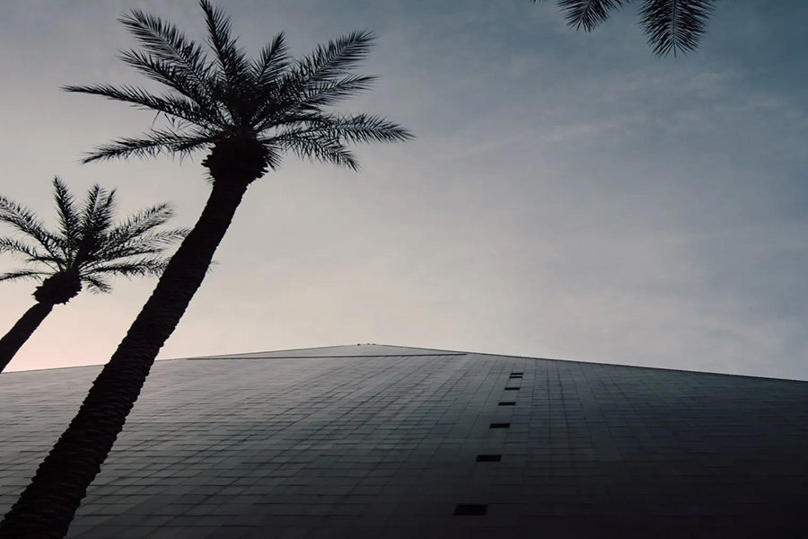 modern building with palm trees