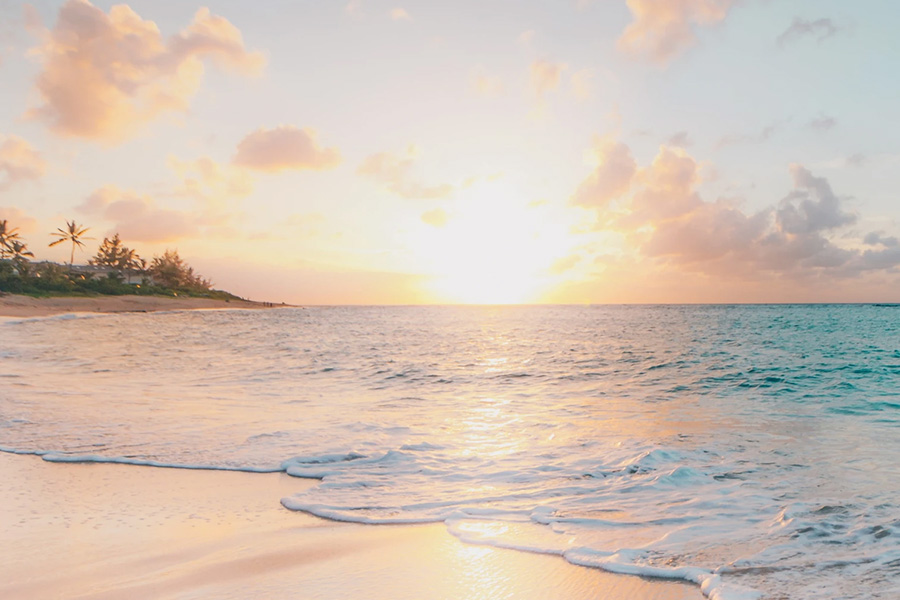 beach shoreline at sunset