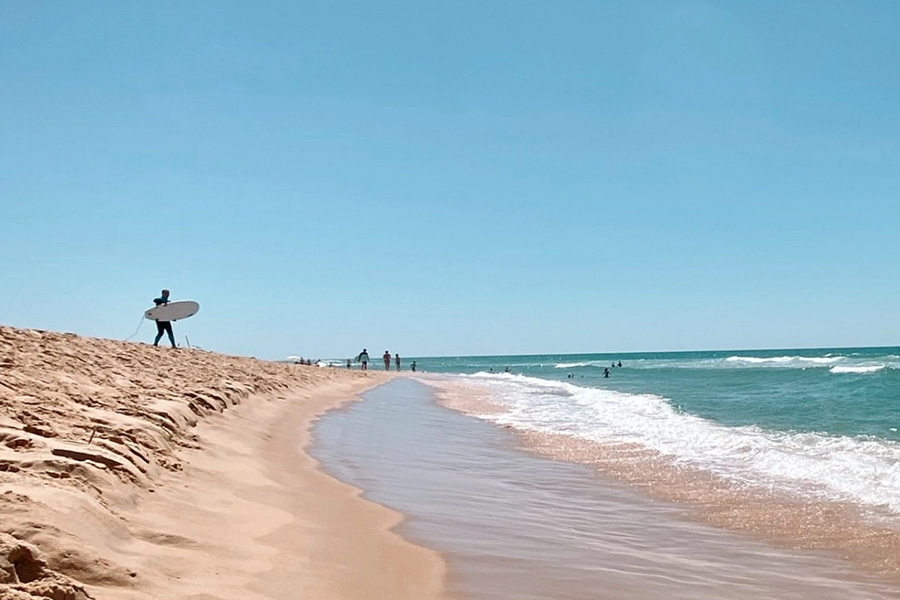 shoreline with surfers