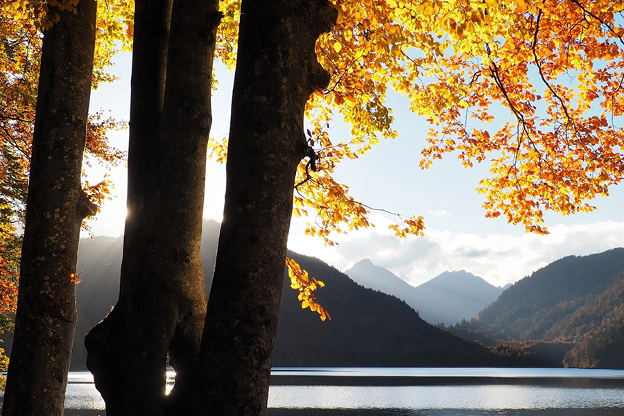 lake with mountains in distance