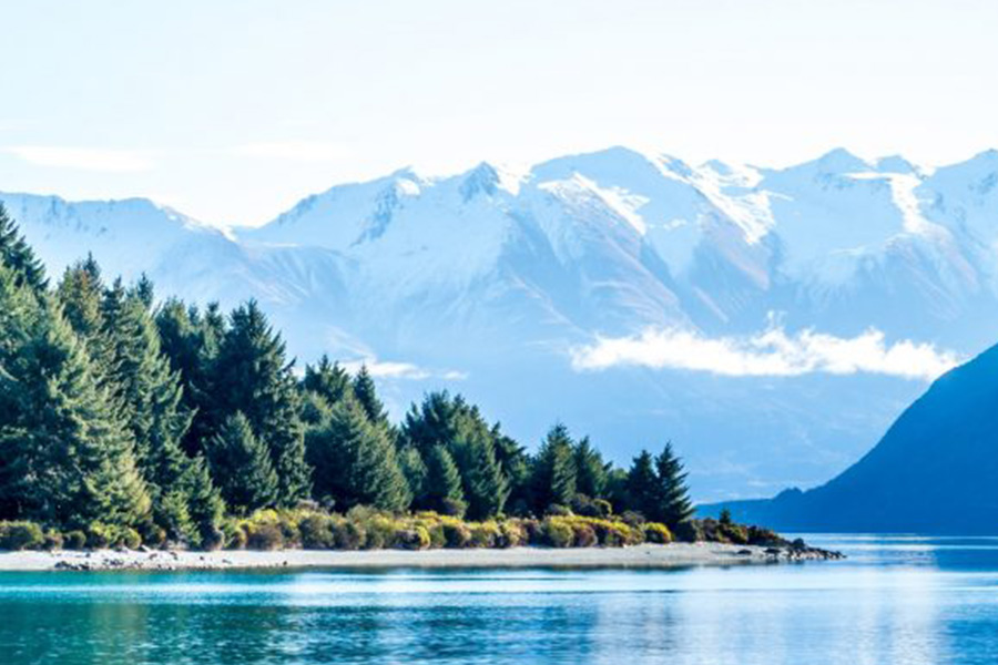 lake with trees and mountains in distance