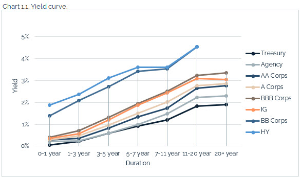 08.01.2021 - Chart 1.1 - yield curve