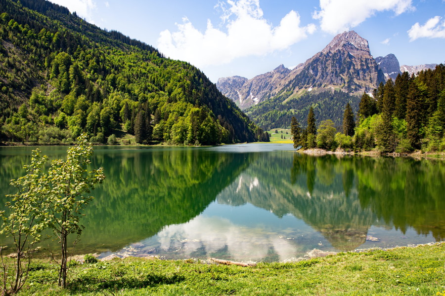 mountains with a lake