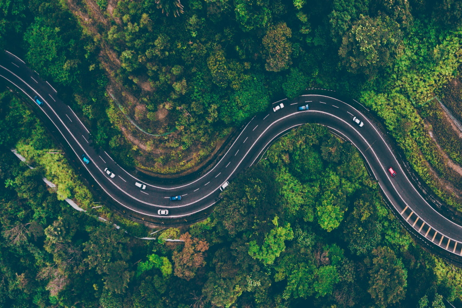 windy road through forest