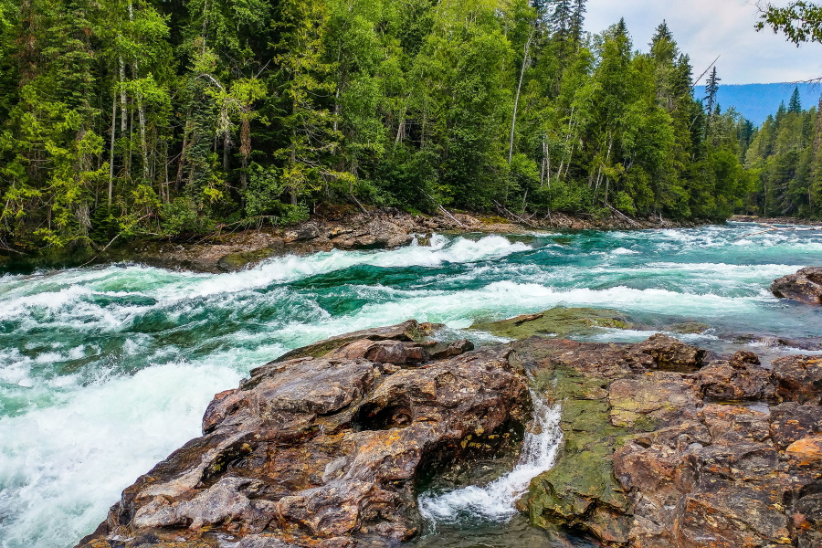 raging river with trees