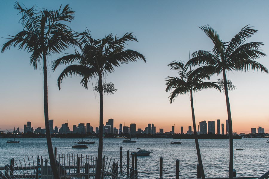 miami beach view at sunset with palm trees