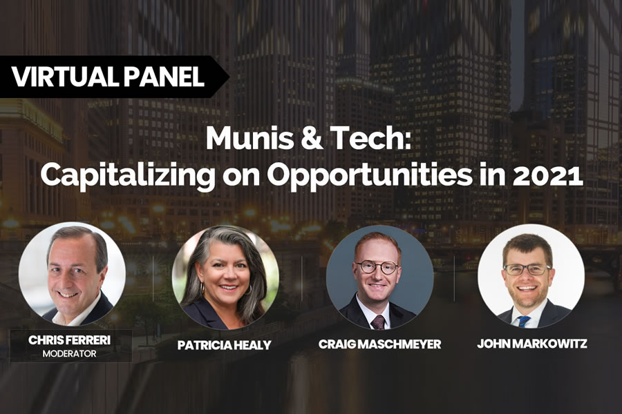 Munis and technology webinar panelists