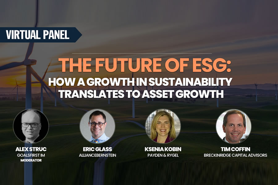 ESG webinar panelists