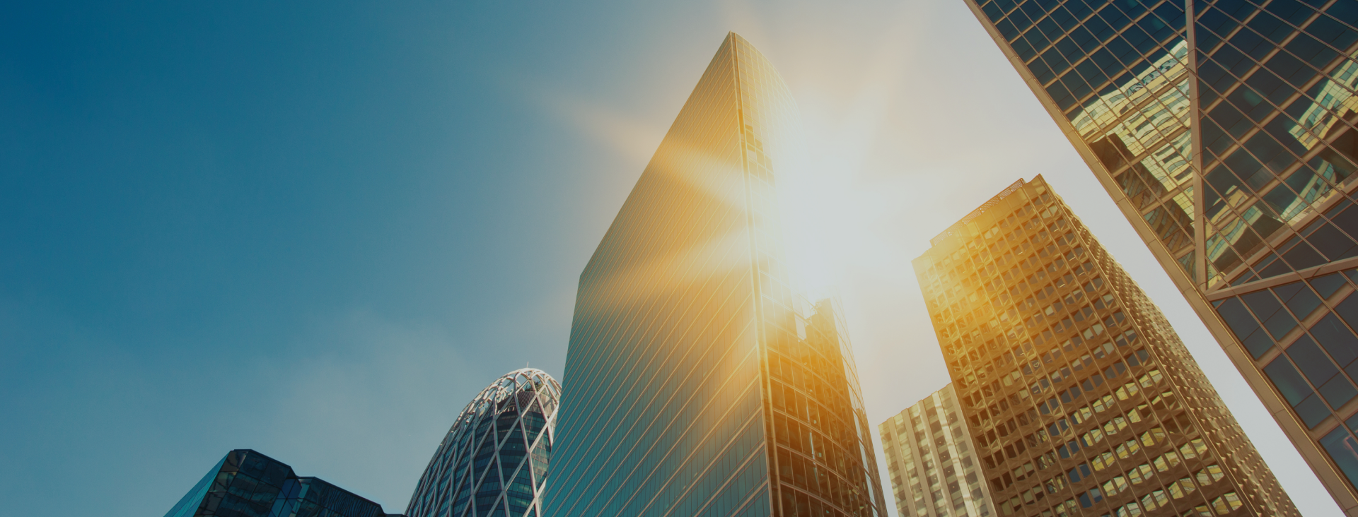 Fixed Income Software to Manage Taxable Accounts